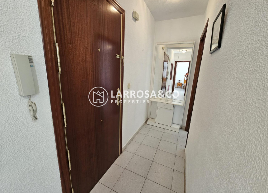 A Vendre - Apartment - Torrevieja - Centro