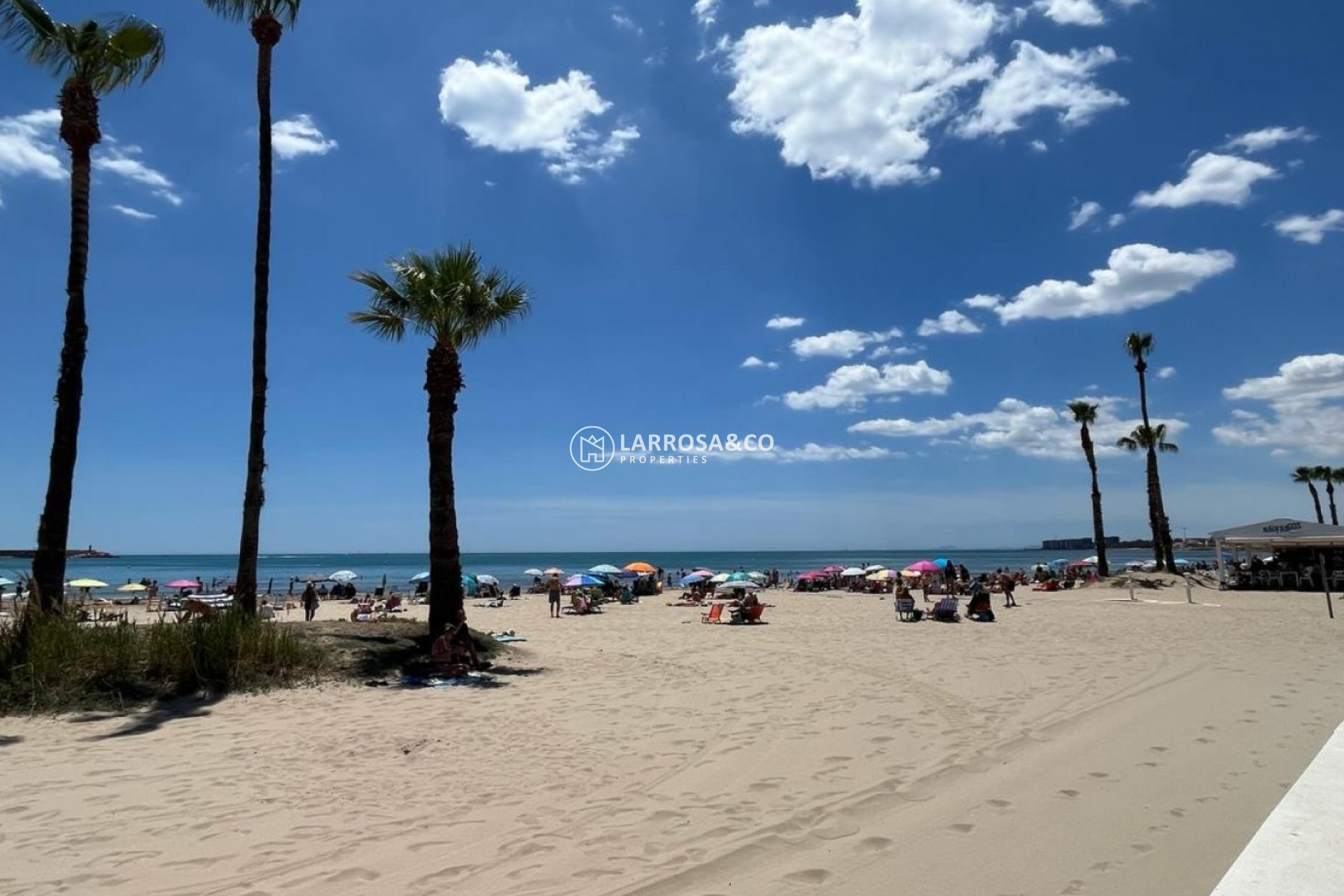 A Vendre - Apartment - Torrevieja - Costa Blanca