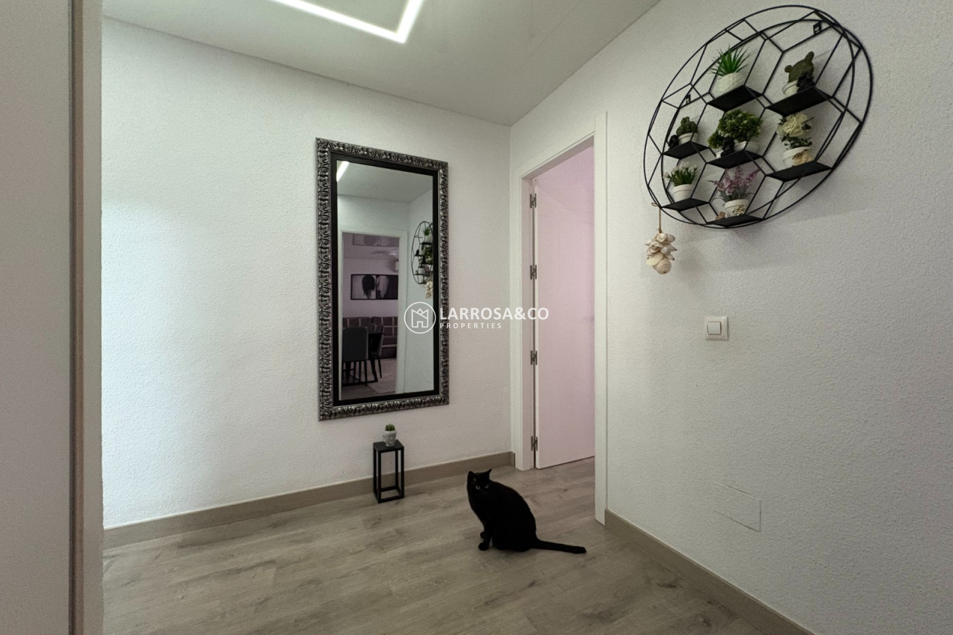 A Vendre - Apartment - Torrevieja - Costa Blanca