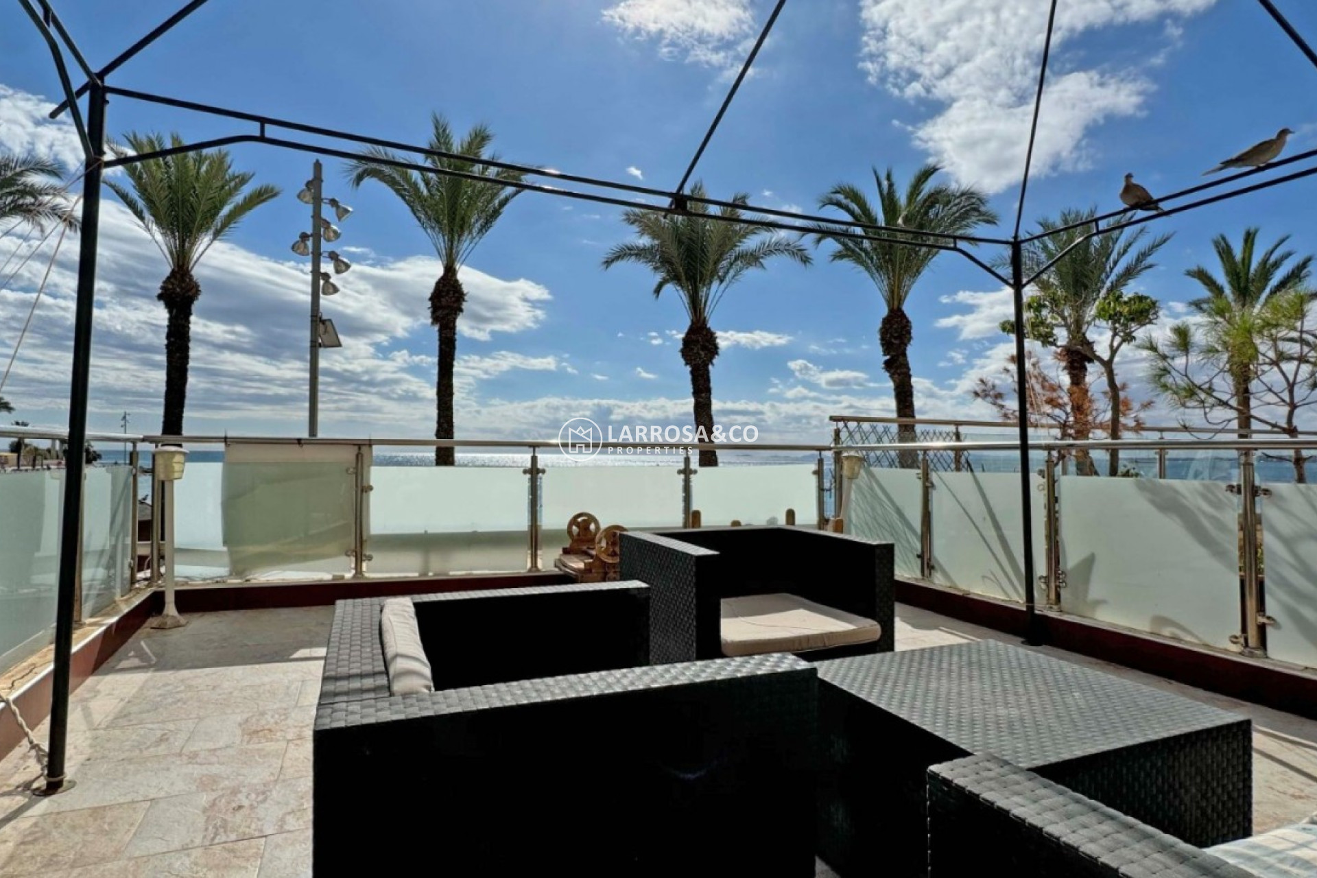 A Vendre - Apartment - Torrevieja - Costa Blanca