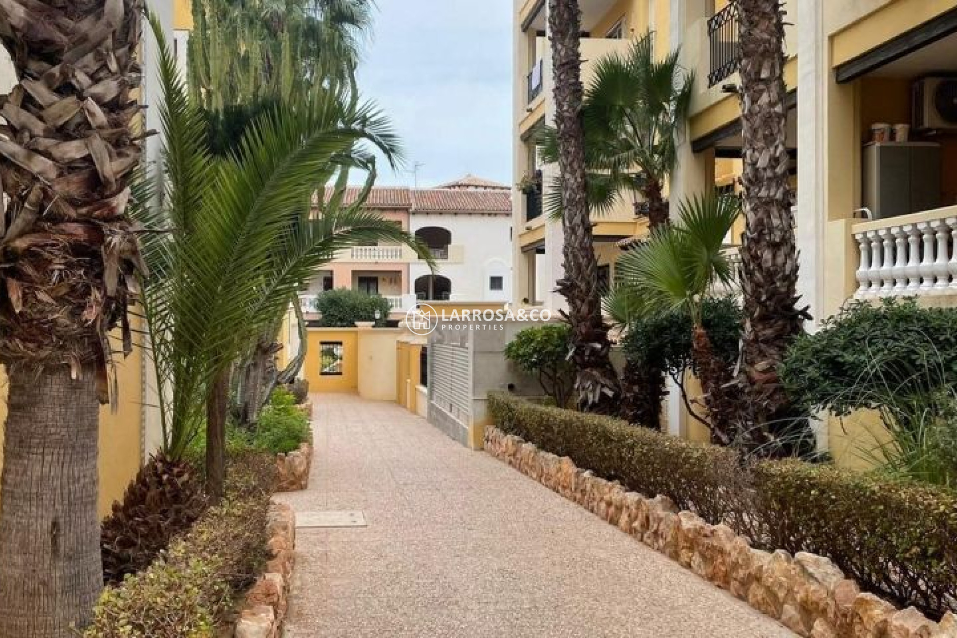 A Vendre - Apartment - Torrevieja - Costa Blanca