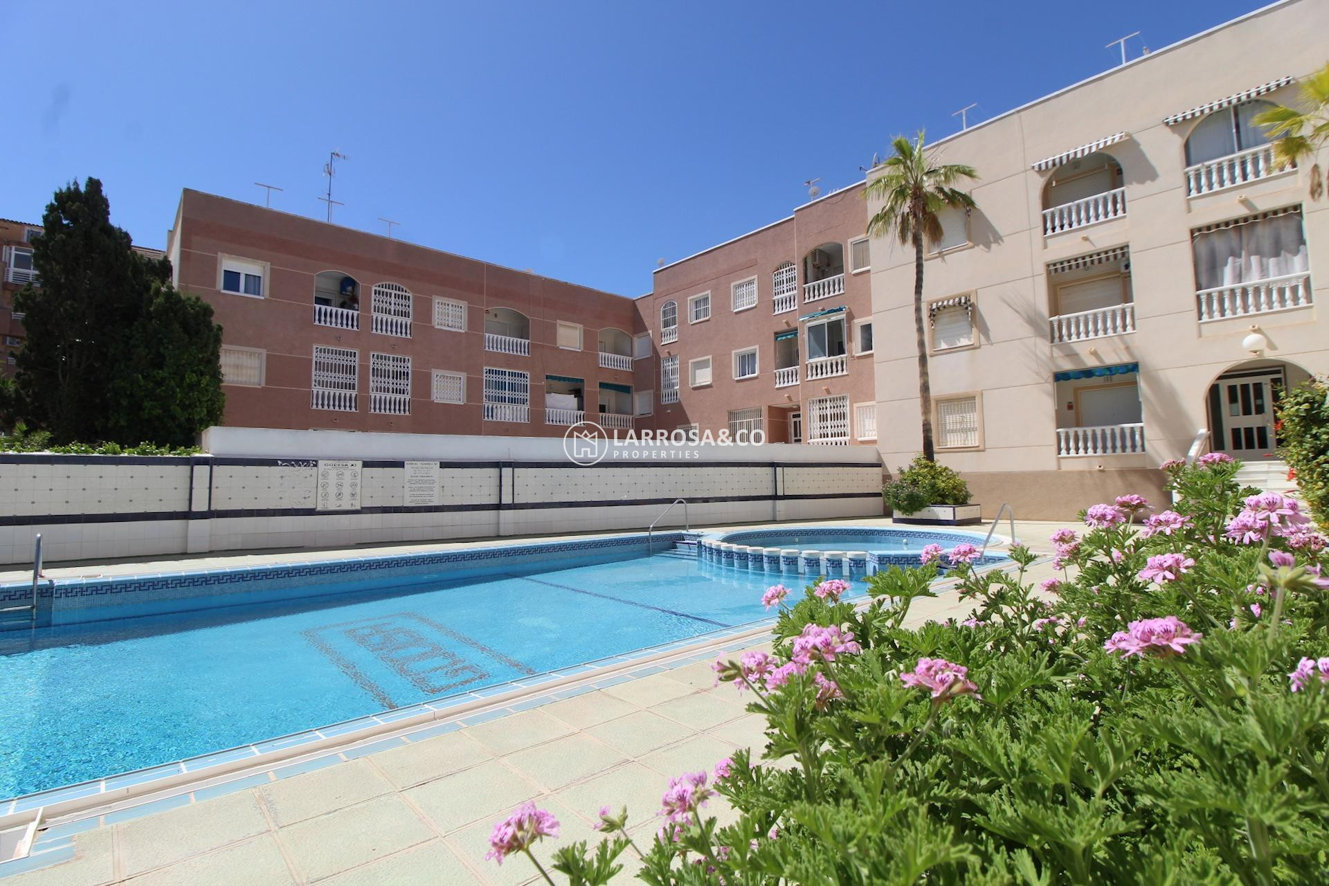 A Vendre - Apartment - Torrevieja - Curva del Palangre