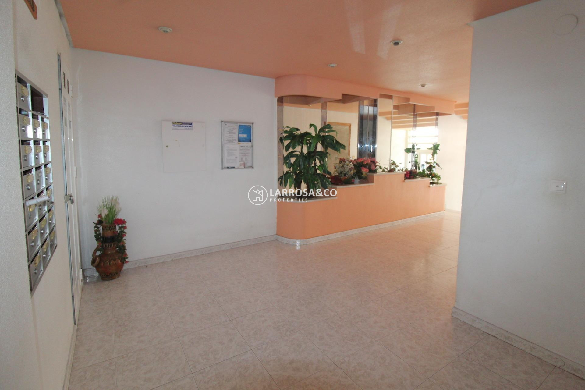 A Vendre - Apartment - Torrevieja - Curva del Palangre