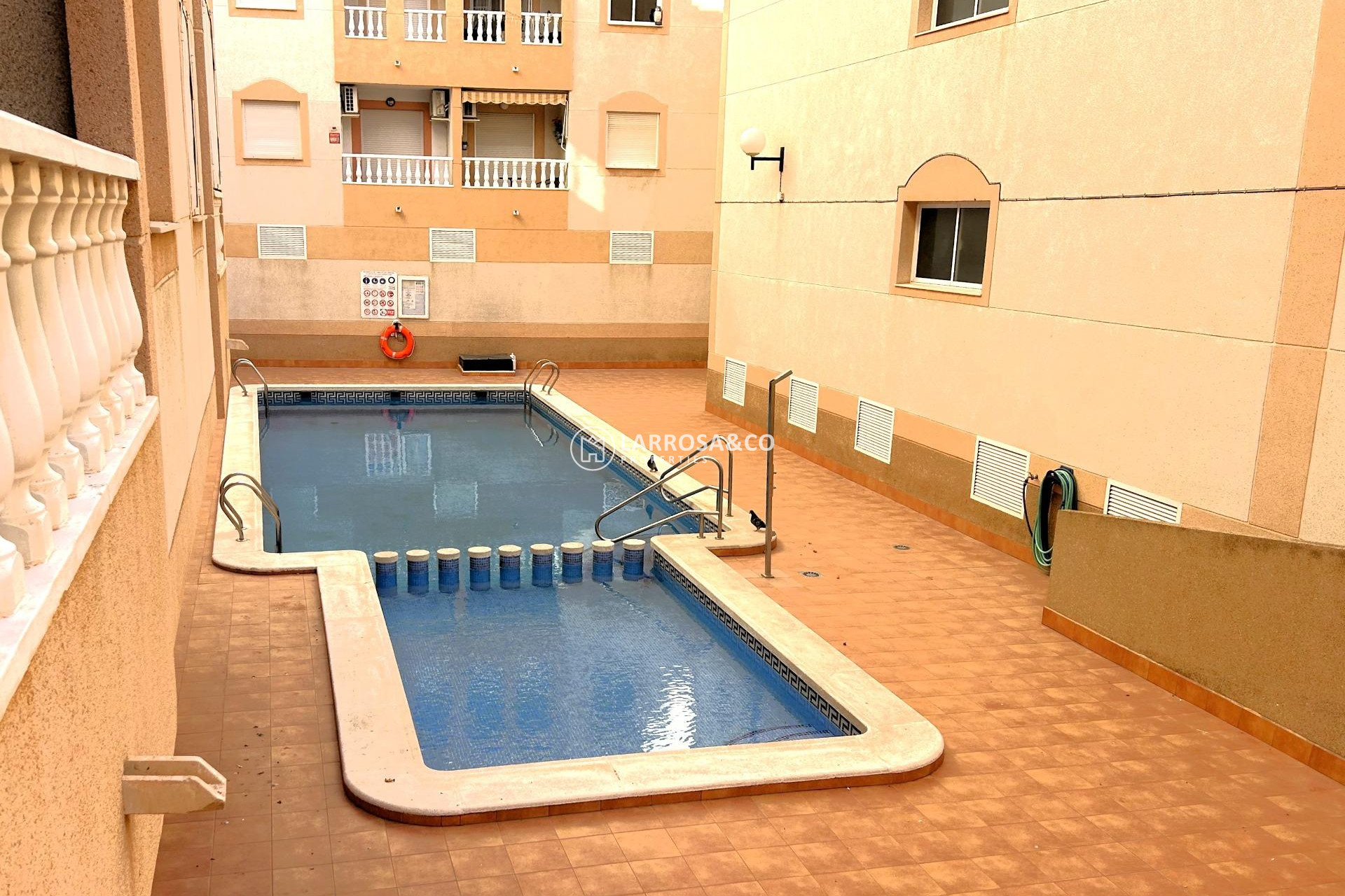 A Vendre - Apartment - Torrevieja - El molino