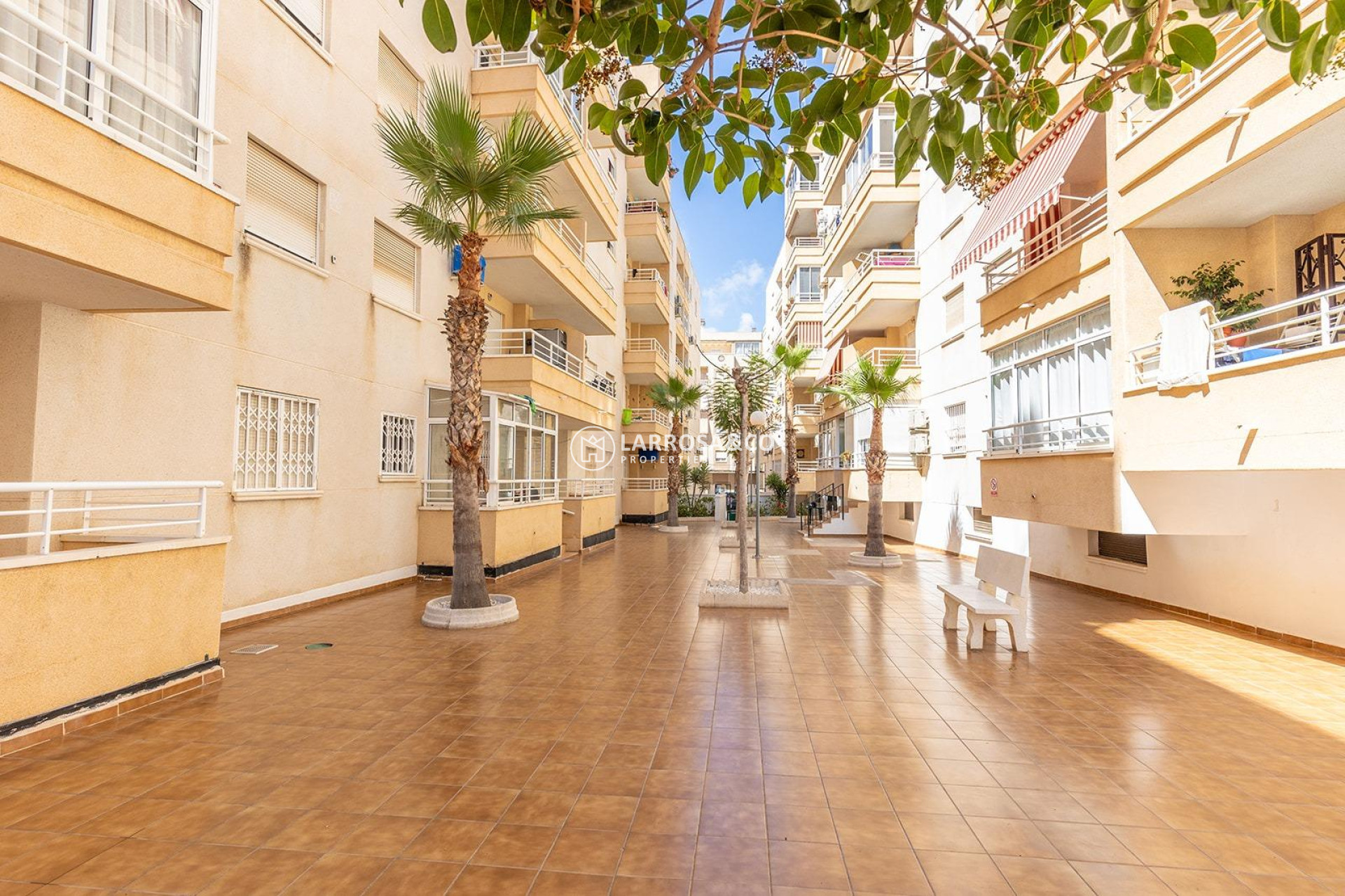 A Vendre - Apartment - Torrevieja - Estacion de autobuses