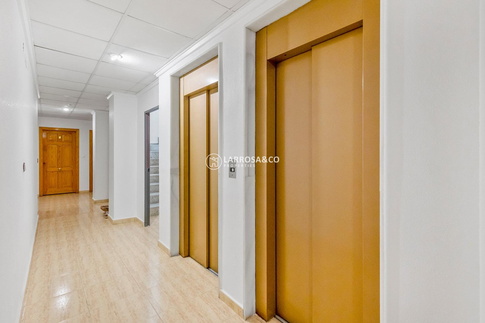 A Vendre - Apartment - Torrevieja - Estacion de autobuses