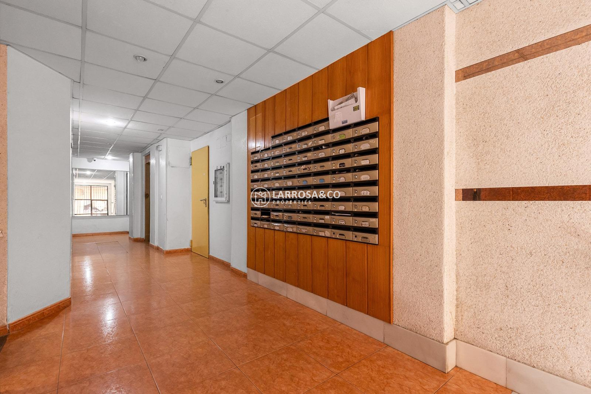 A Vendre - Apartment - Torrevieja - Estacion de autobuses