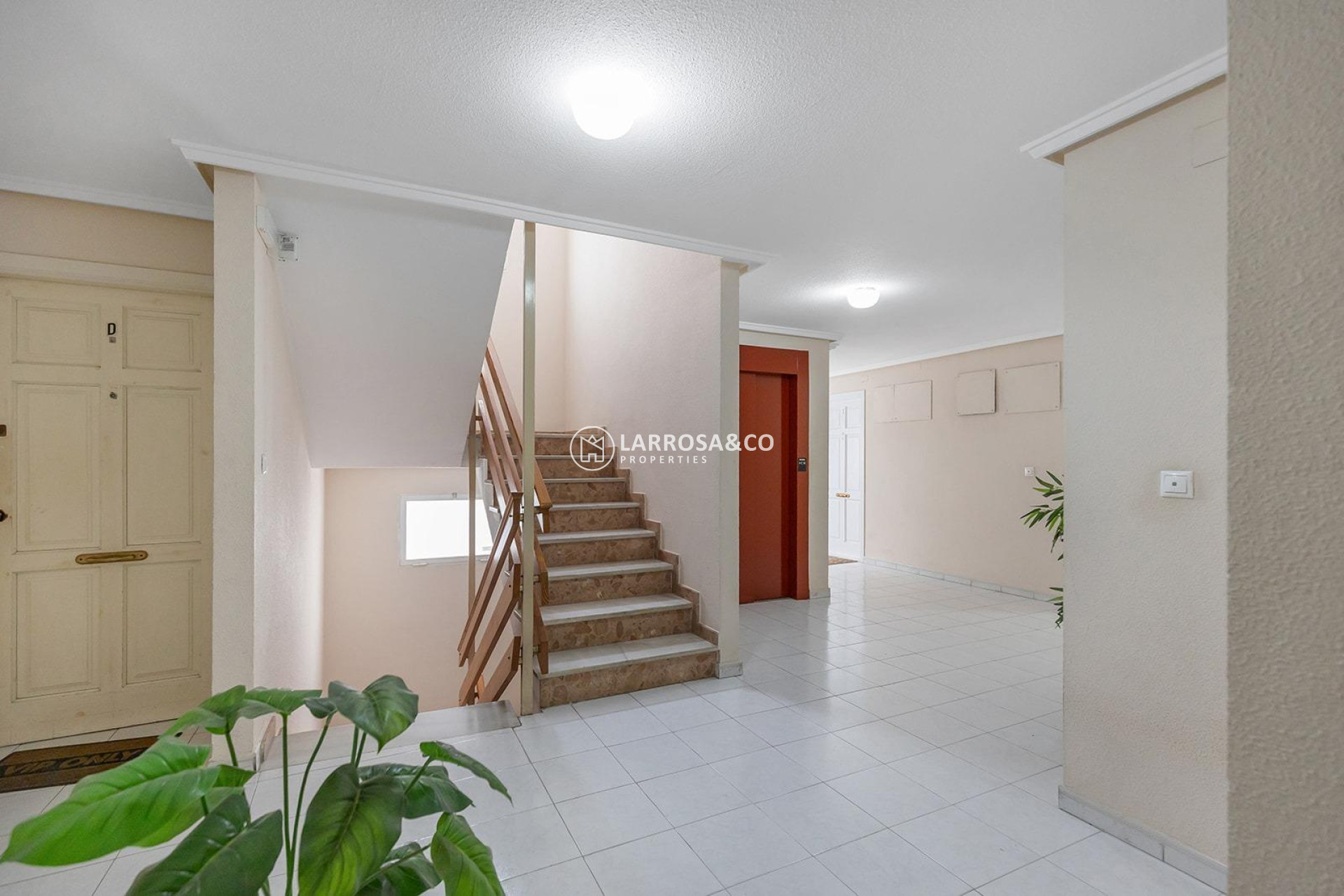 A Vendre - Apartment - Torrevieja - Estacion de autobuses