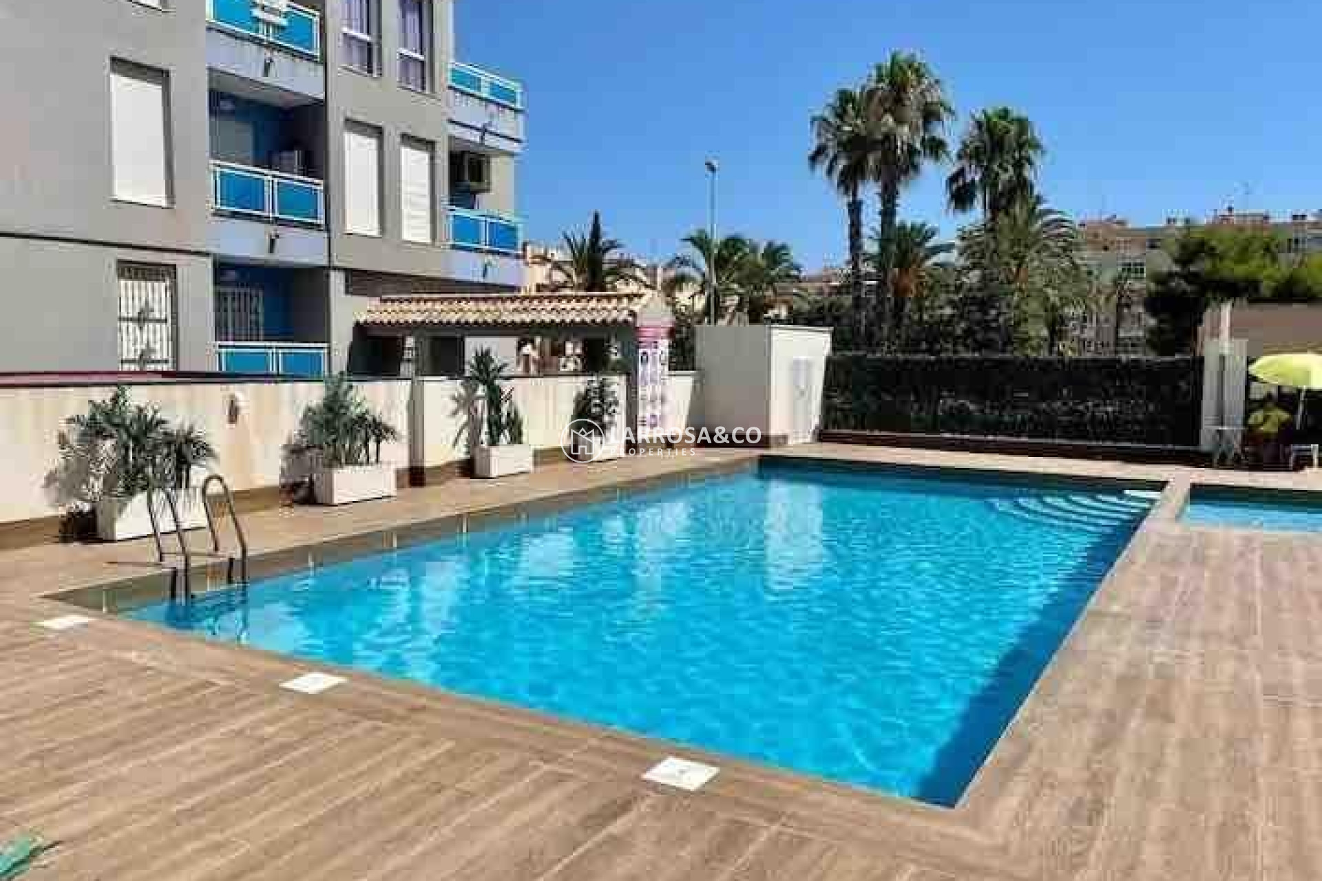 A Vendre - Apartment - Torrevieja - Estacion de autobuses