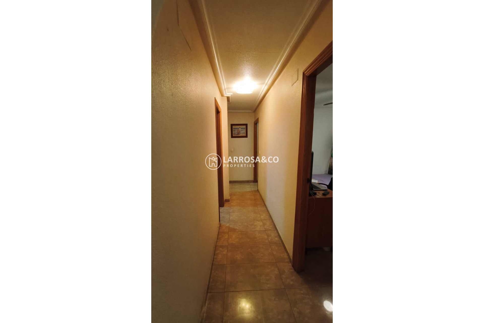 A Vendre - Apartment - Torrevieja - Estacion de autobuses