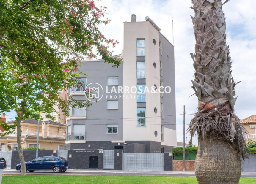 A Vendre - Apartment - Torrevieja - Estacion de autobuses