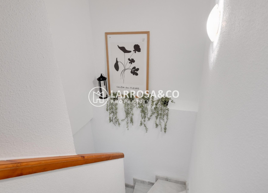 A Vendre - Apartment - Torrevieja - Habaneras