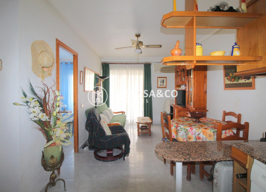 A Vendre - Apartment - Torrevieja - Habaneras