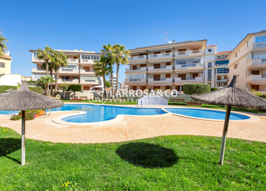 A Vendre - Apartment - Torrevieja - La Mata