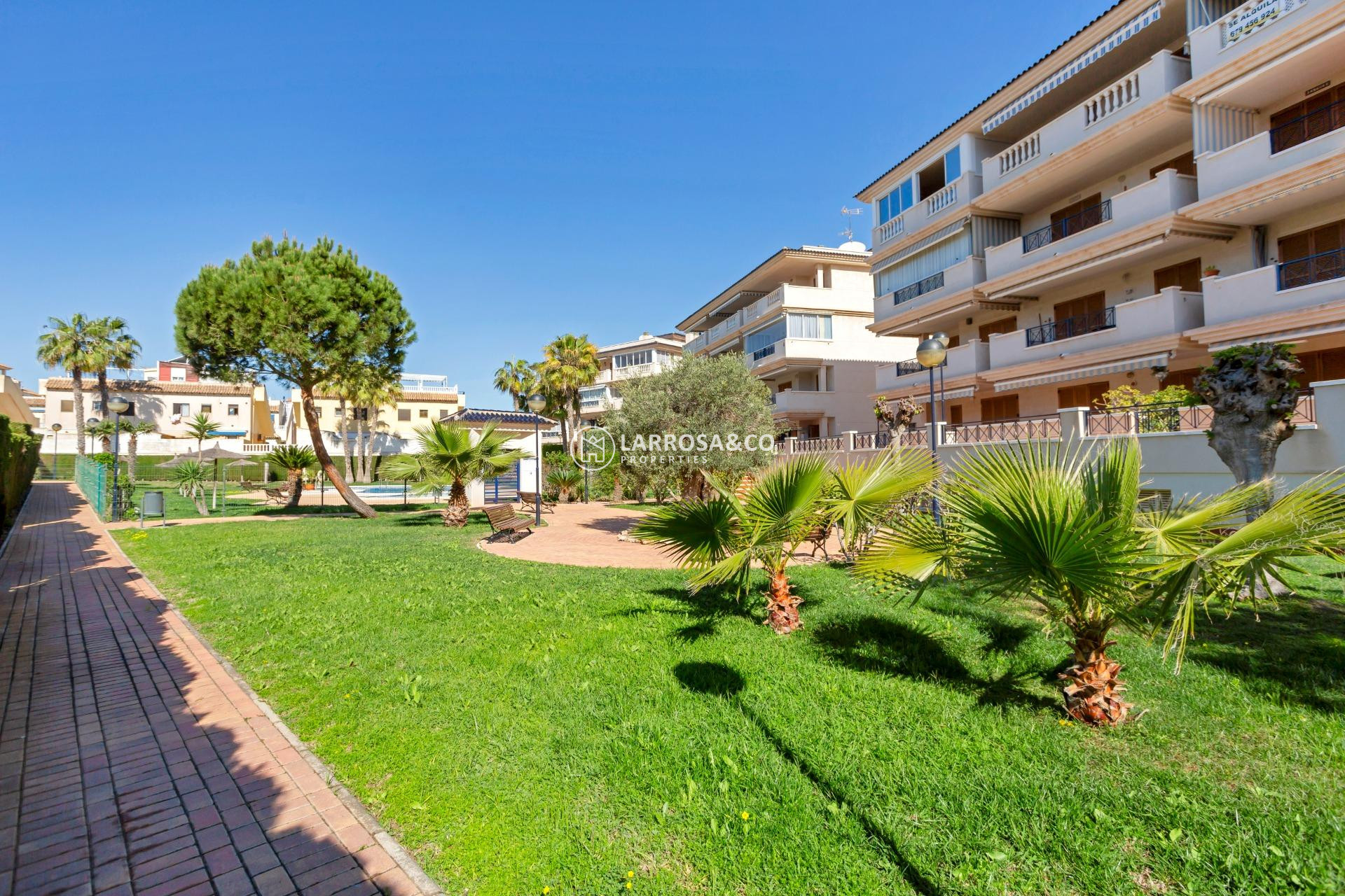 A Vendre - Apartment - Torrevieja - La Mata