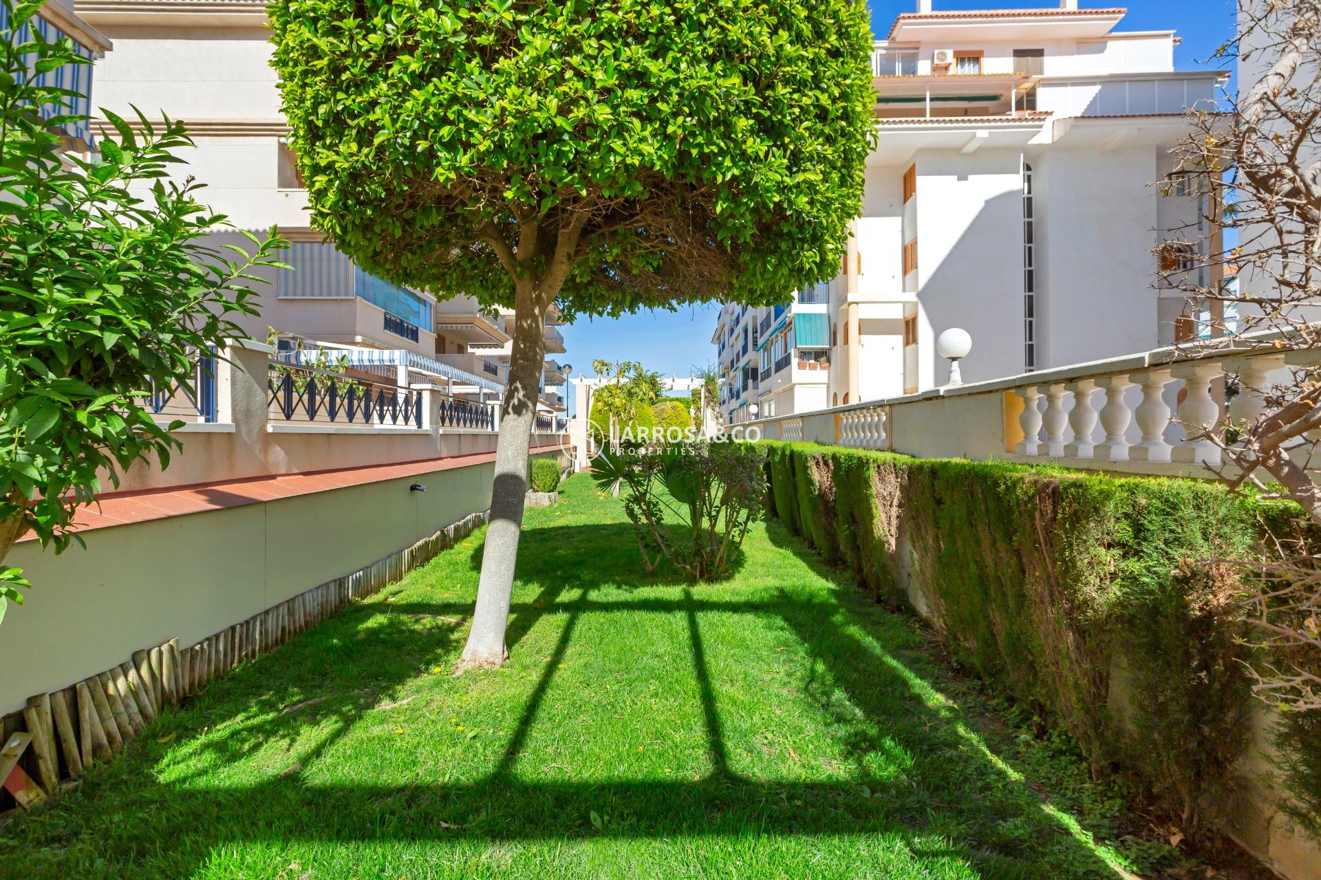 A Vendre - Apartment - Torrevieja - La Mata