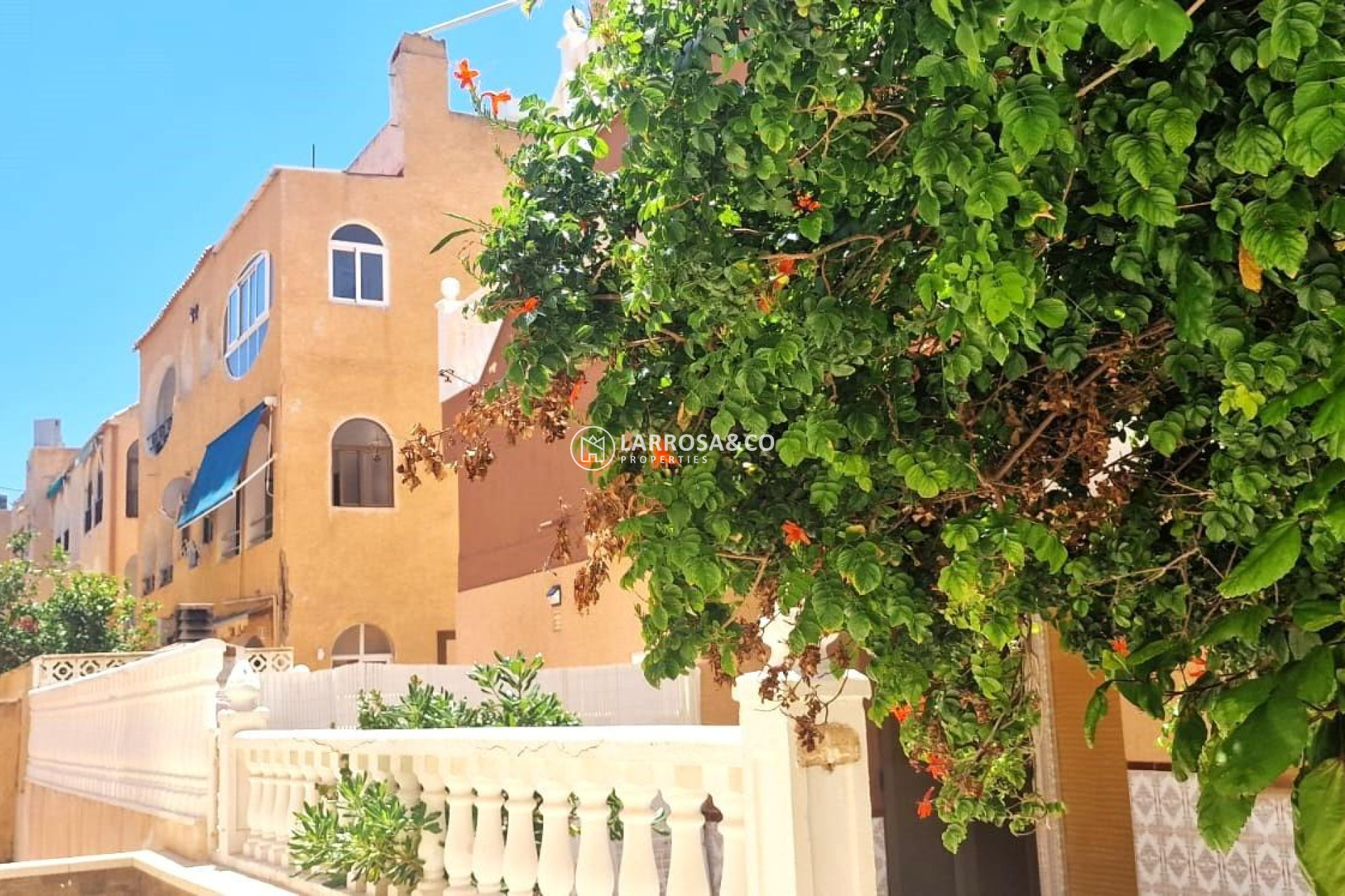 A Vendre - Apartment - Torrevieja - La Mata