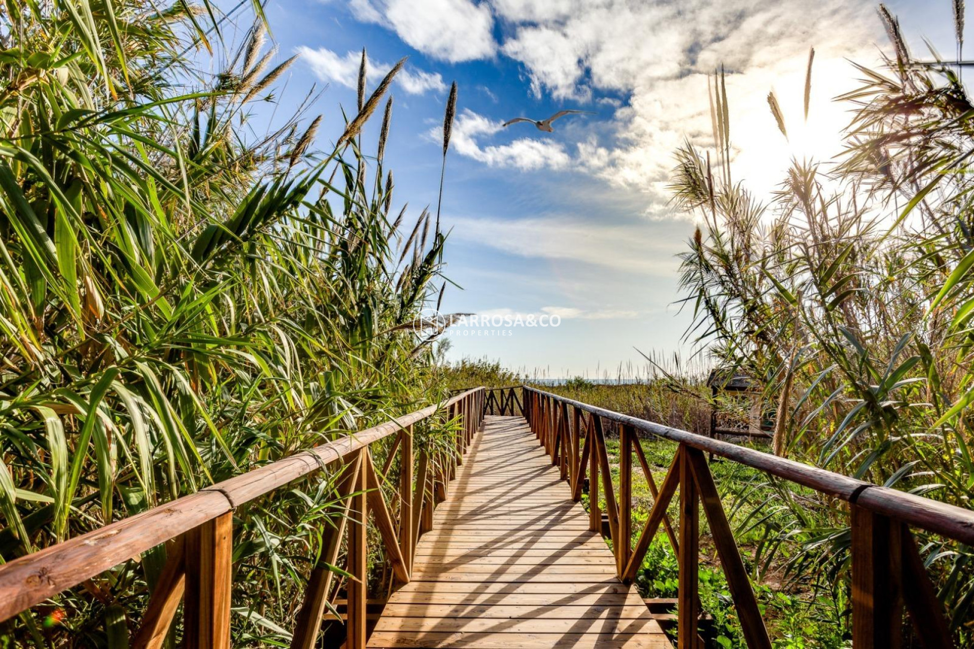 A Vendre - Apartment - Torrevieja - La Mata