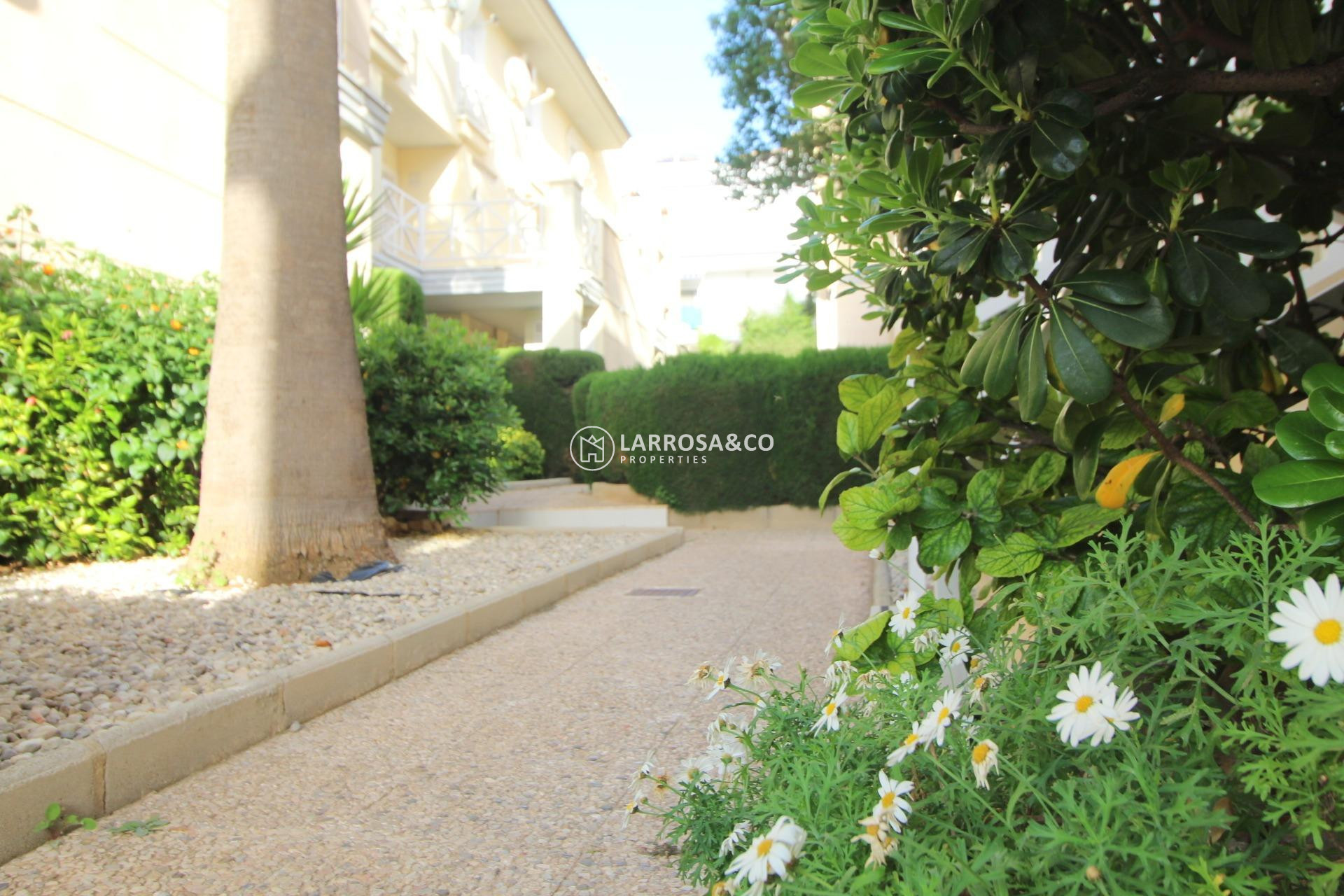 A Vendre - Apartment - Torrevieja - La veleta