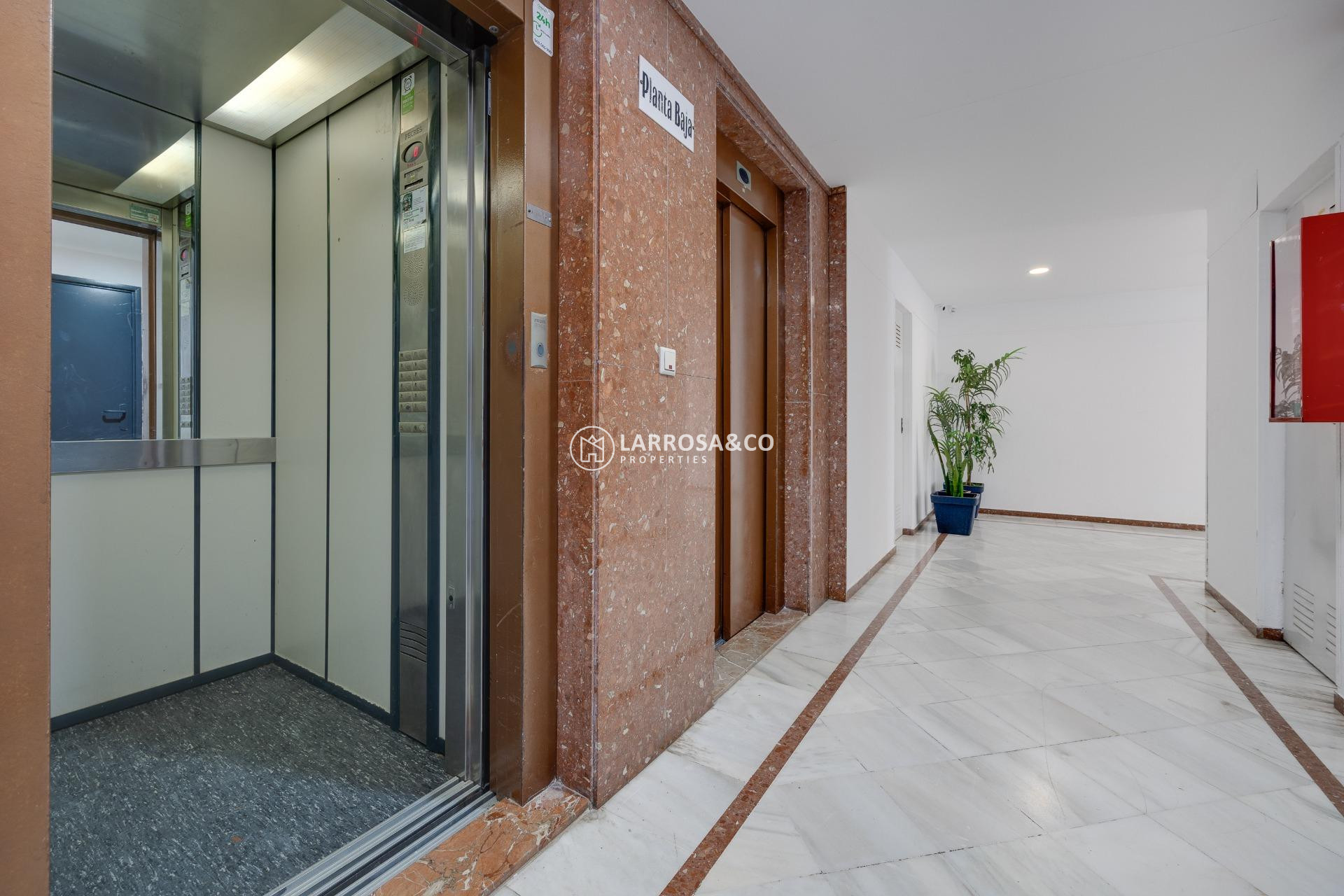 A Vendre - Apartment - Torrevieja - La veleta