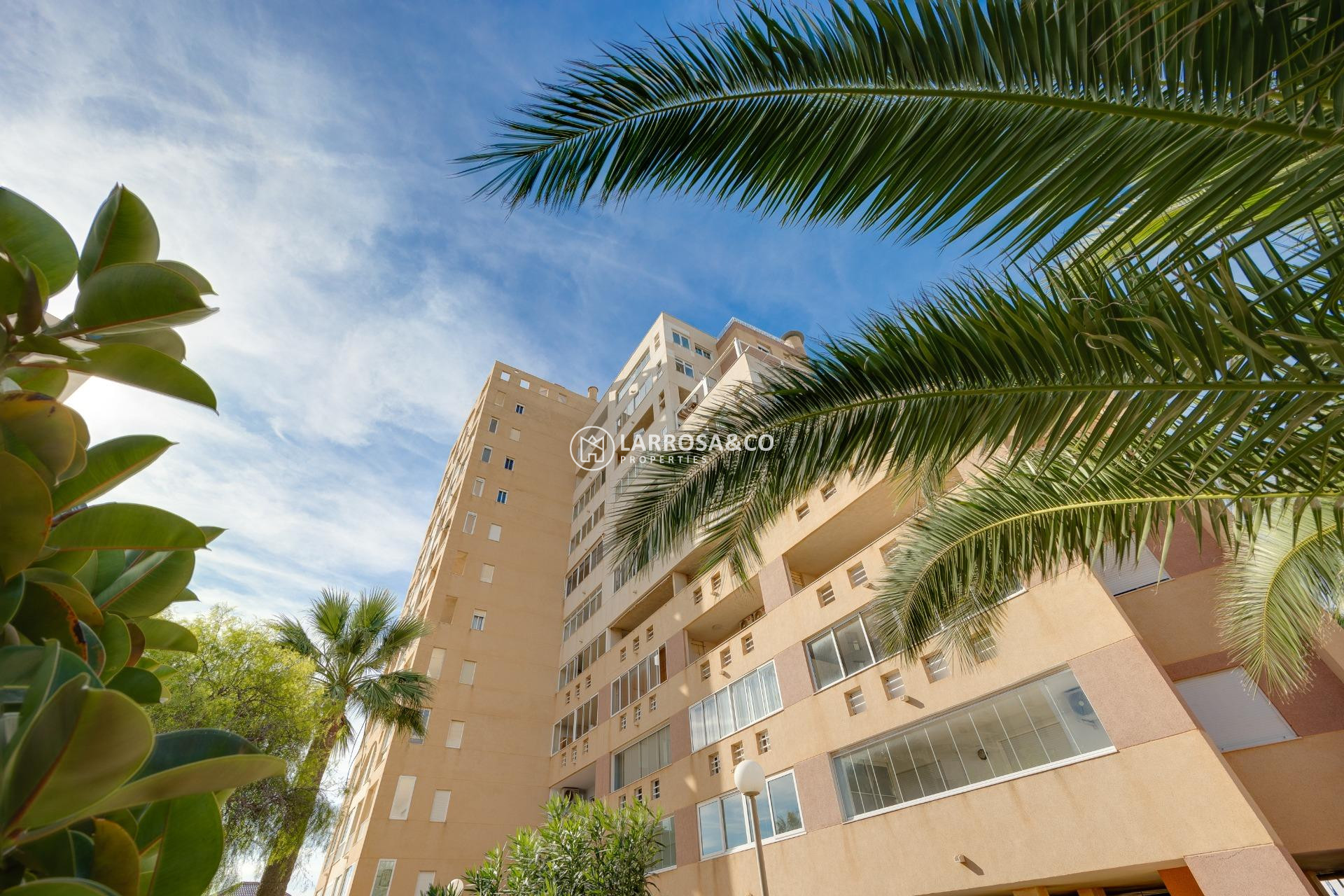 A Vendre - Apartment - Torrevieja - La veleta