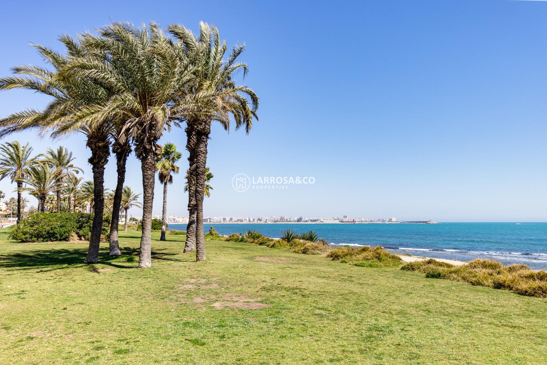 A Vendre - Apartment - Torrevieja - La veleta