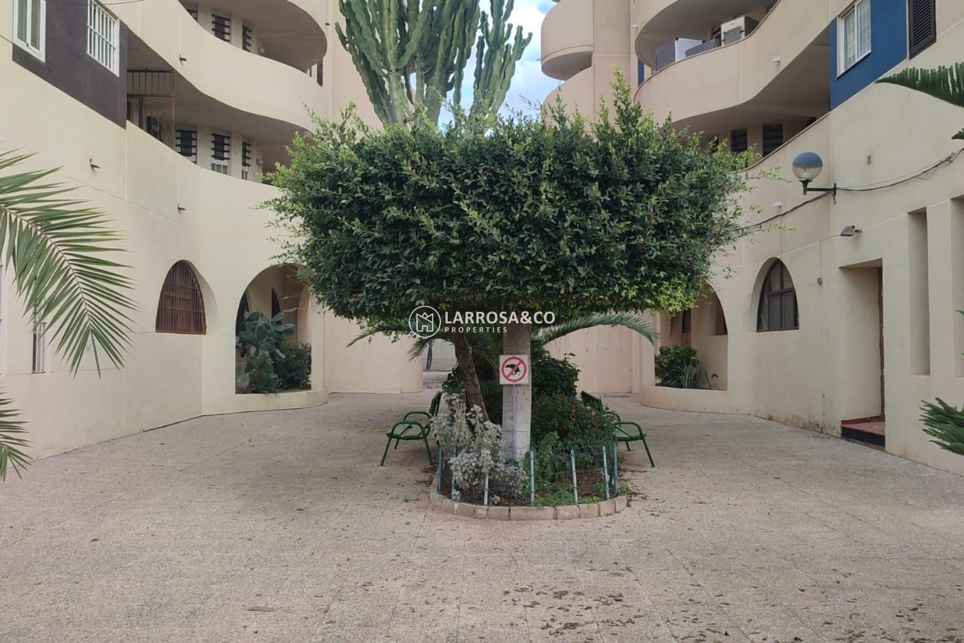 A Vendre - Apartment - Torrevieja - La veleta