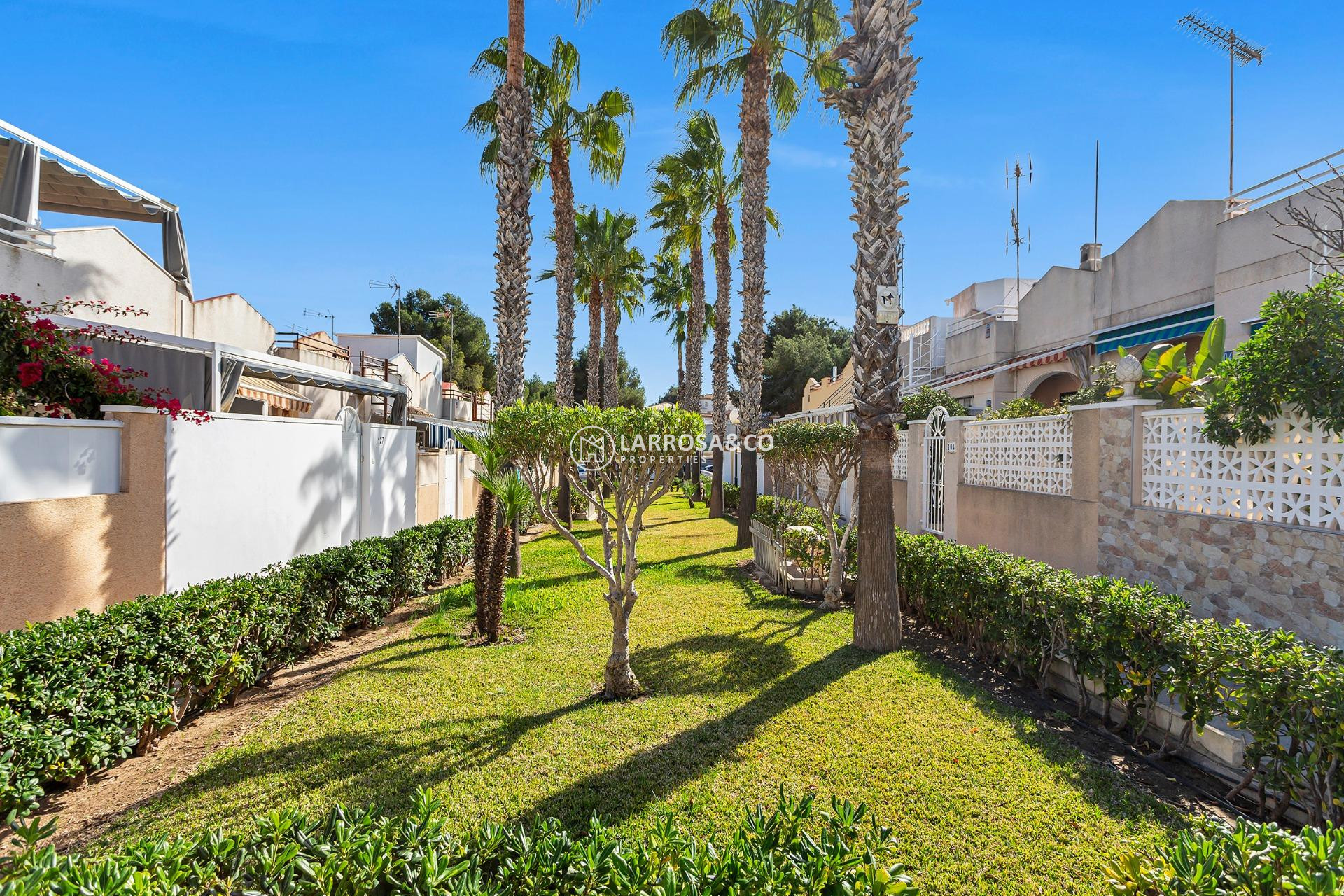 A Vendre - Apartment - Torrevieja - Lago jardin