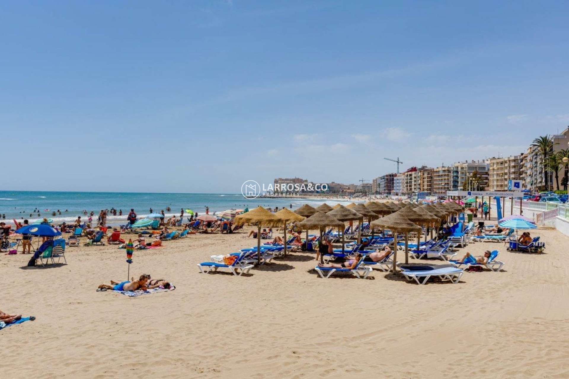 A Vendre - Apartment - Torrevieja - Los Locos Beach