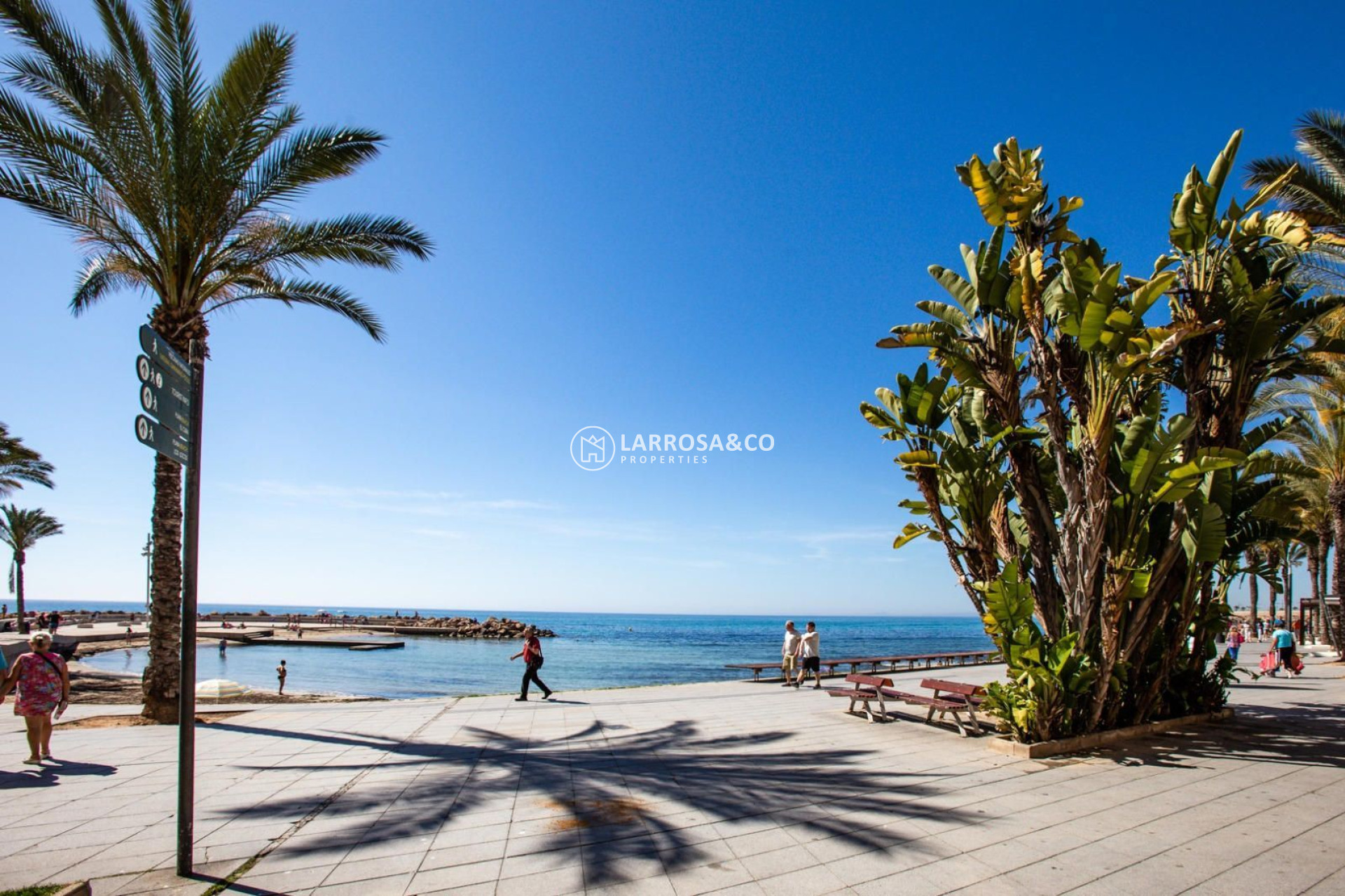 A Vendre - Apartment - Torrevieja - Los Locos Beach