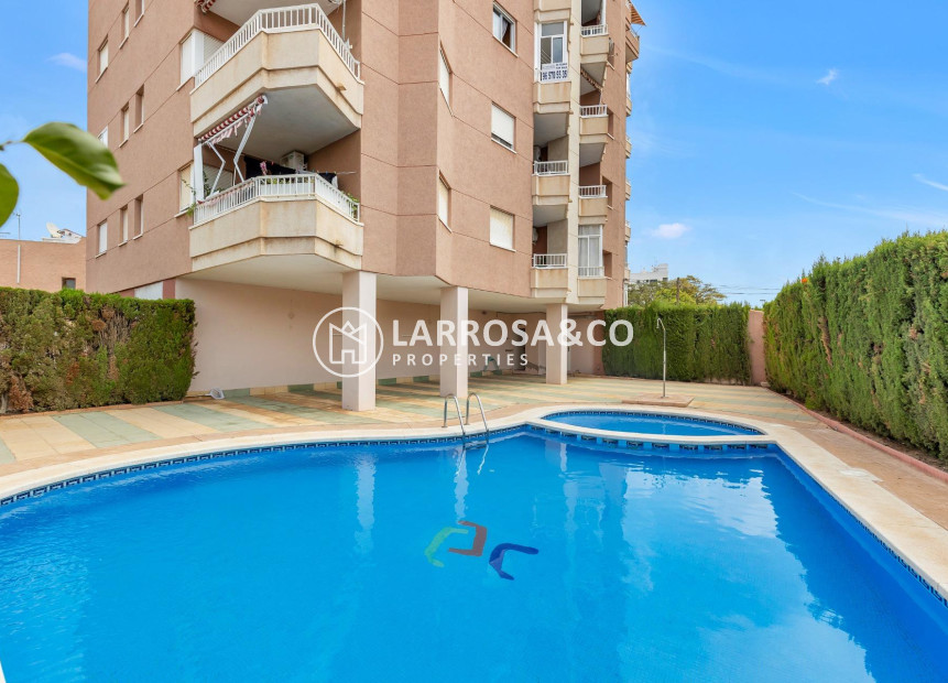 A Vendre - Apartment - Torrevieja - Nueva Torrevieja