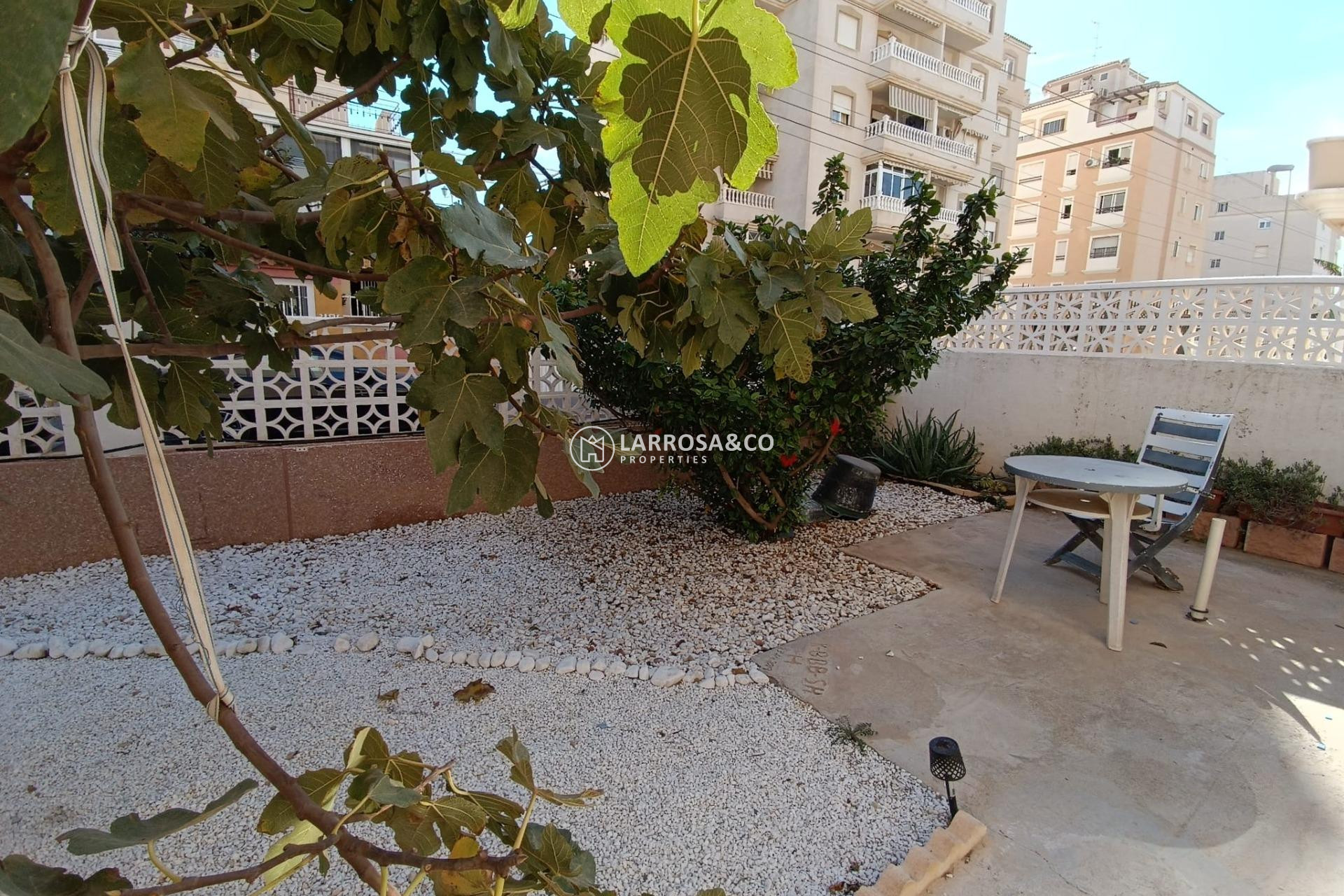 A Vendre - Apartment - Torrevieja - Nueva Torrevieja