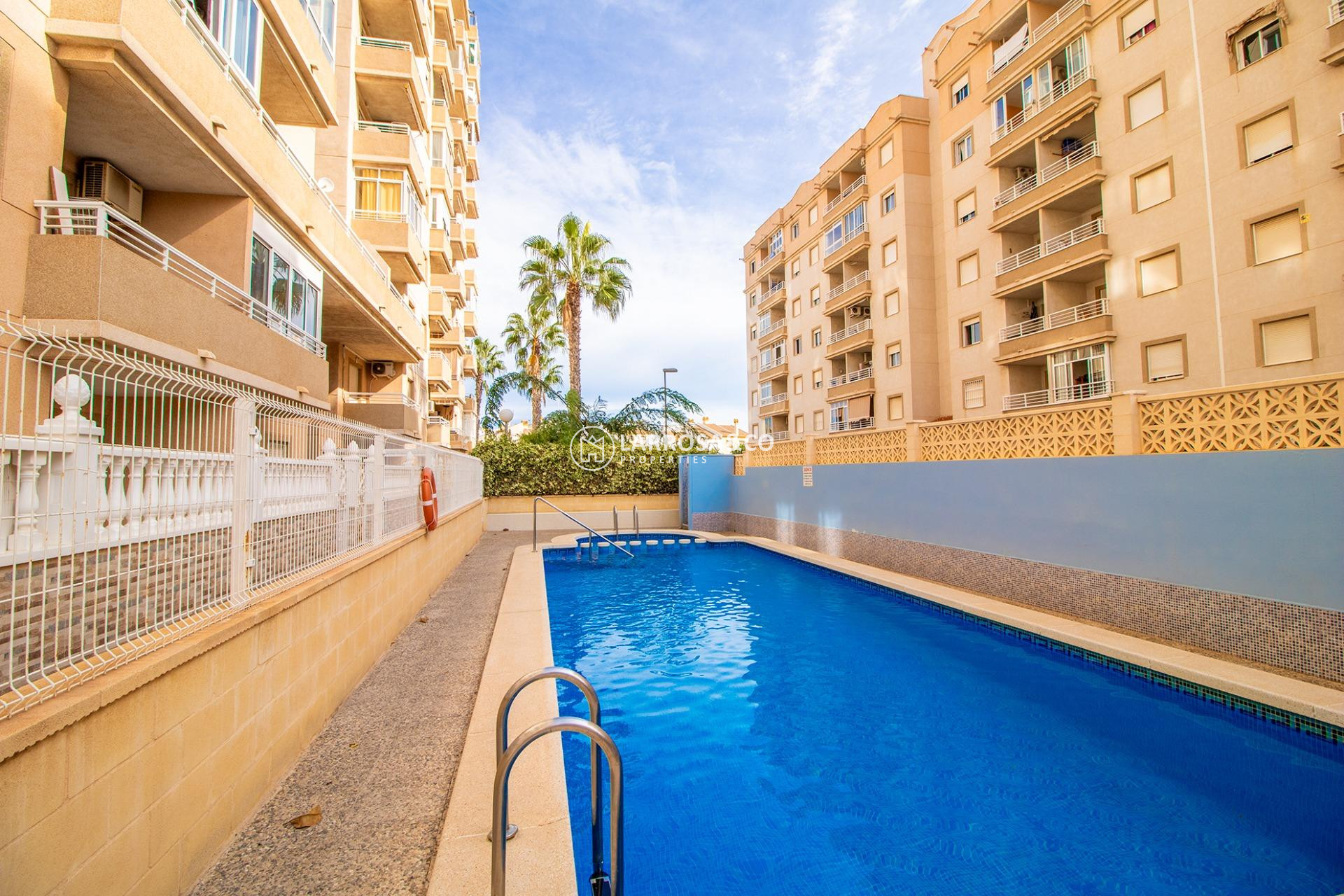 A Vendre - Apartment - Torrevieja - Nueva Torrevieja