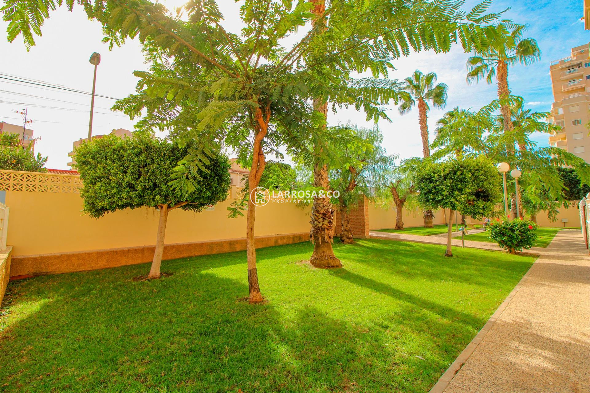 A Vendre - Apartment - Torrevieja - Nueva Torrevieja