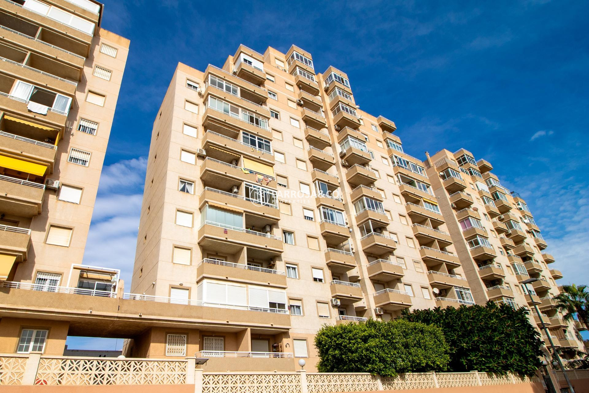 A Vendre - Apartment - Torrevieja - Nueva Torrevieja