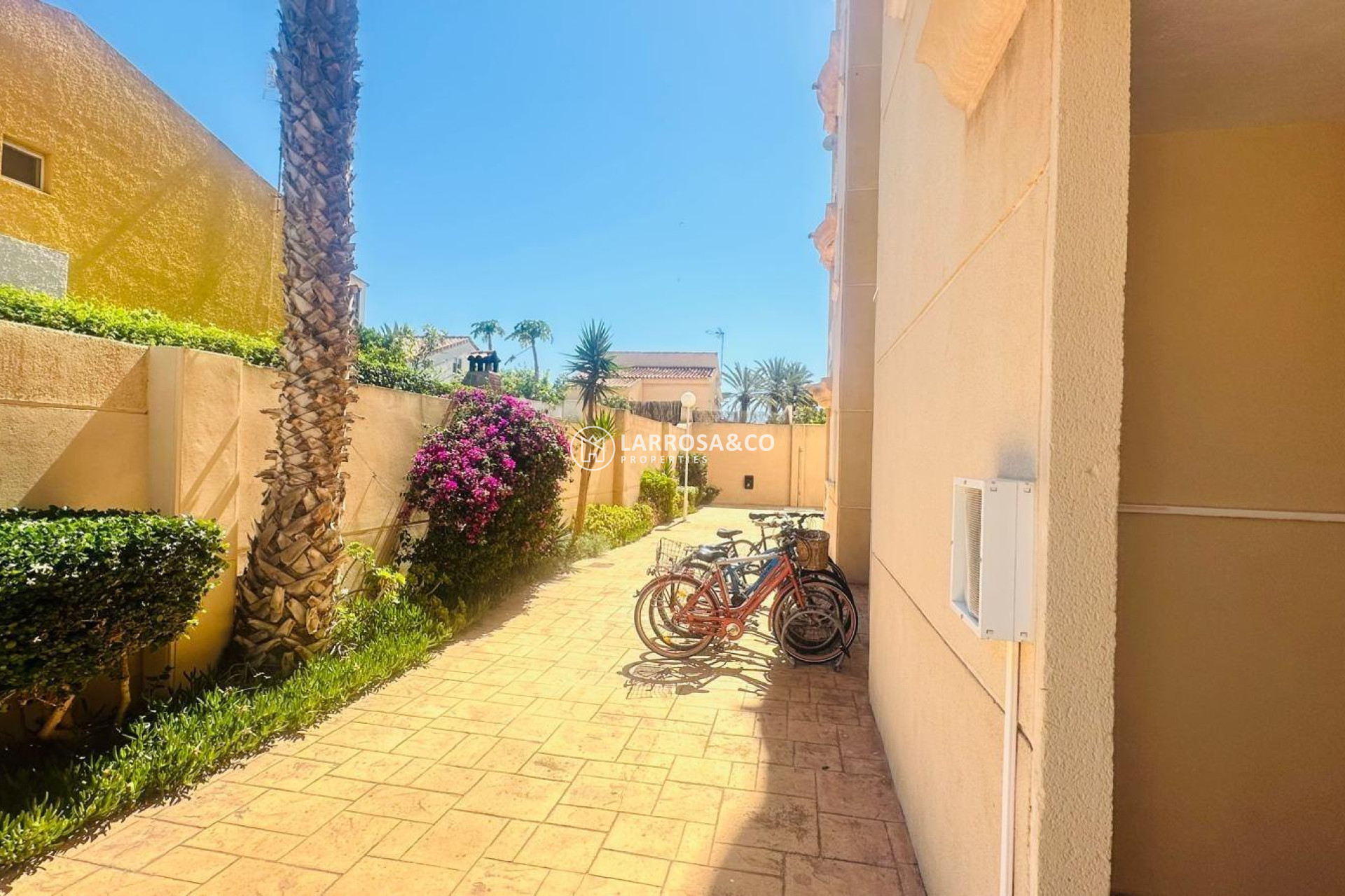 A Vendre - Apartment - Torrevieja - Nueva Torrevieja