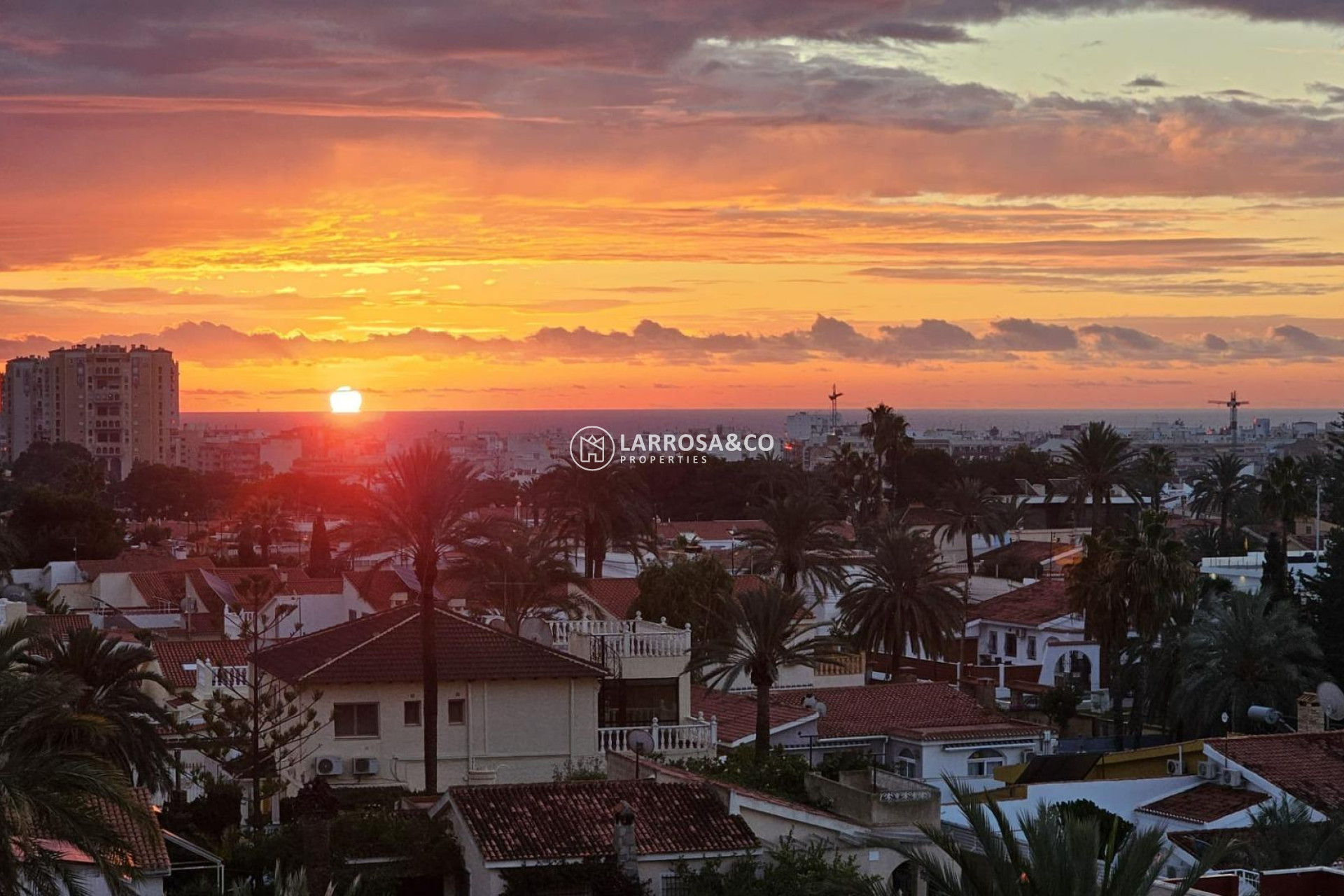 A Vendre - Apartment - Torrevieja - Nueva Torrevieja