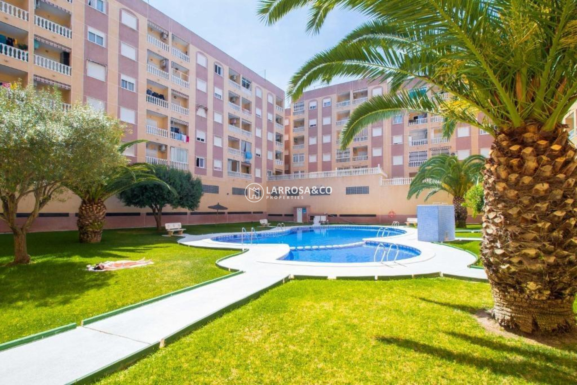 A Vendre - Apartment - Torrevieja - Parque de las Naciones