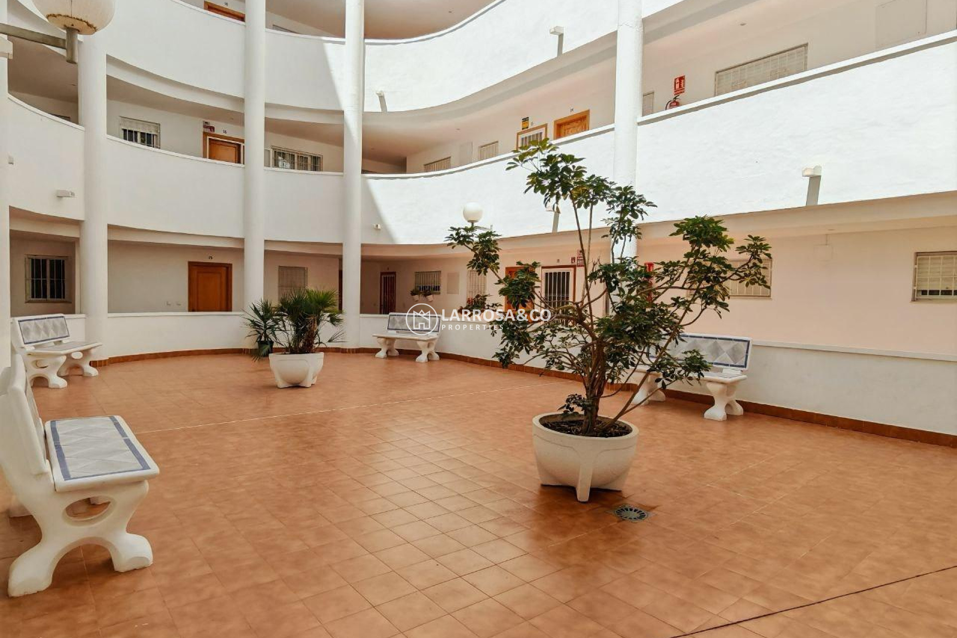 A Vendre - Apartment - Torrevieja - Parque de las Naciones