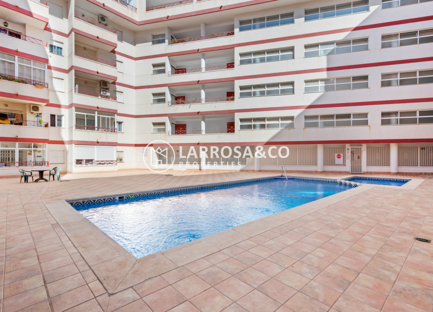 A Vendre - Apartment - Torrevieja - Parque de las Naciones