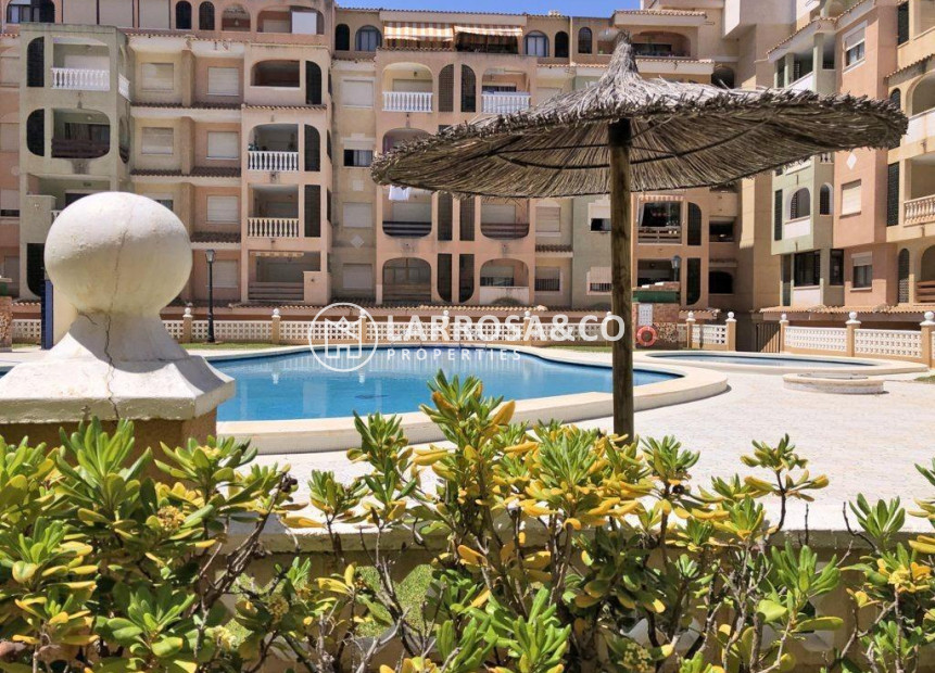 A Vendre - Apartment - Torrevieja - Parque las naciones