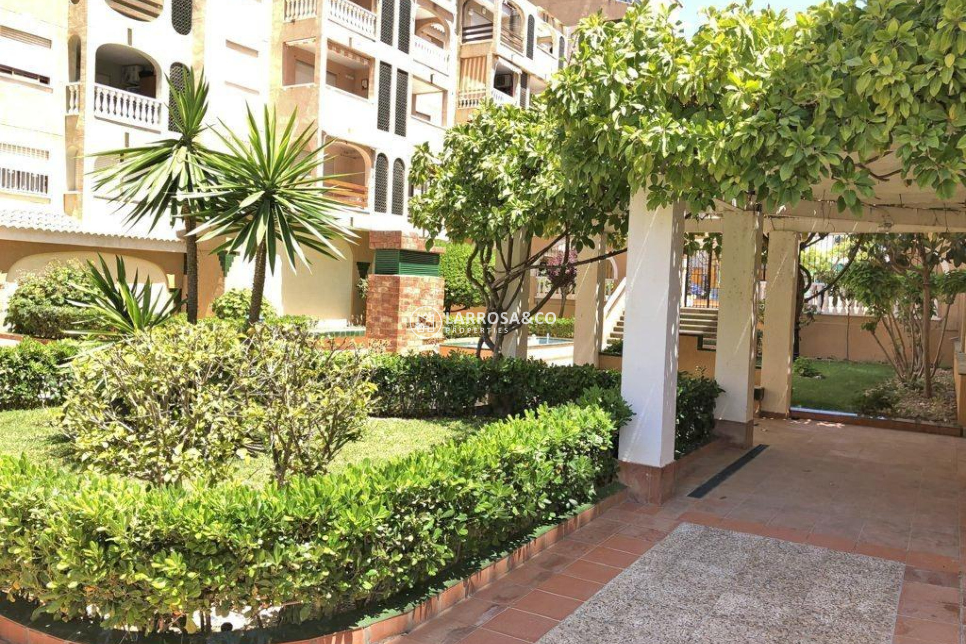 A Vendre - Apartment - Torrevieja - Parque las naciones