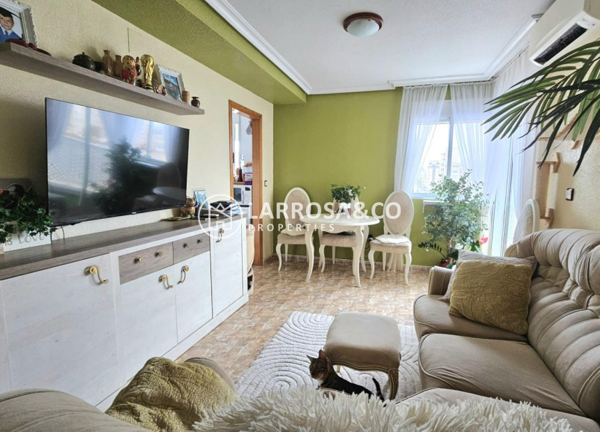 A Vendre - Apartment - Torrevieja - Parque las naciones