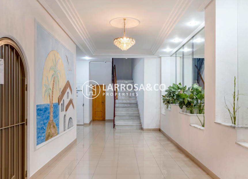 A Vendre - Apartment - Torrevieja - Parque las naciones