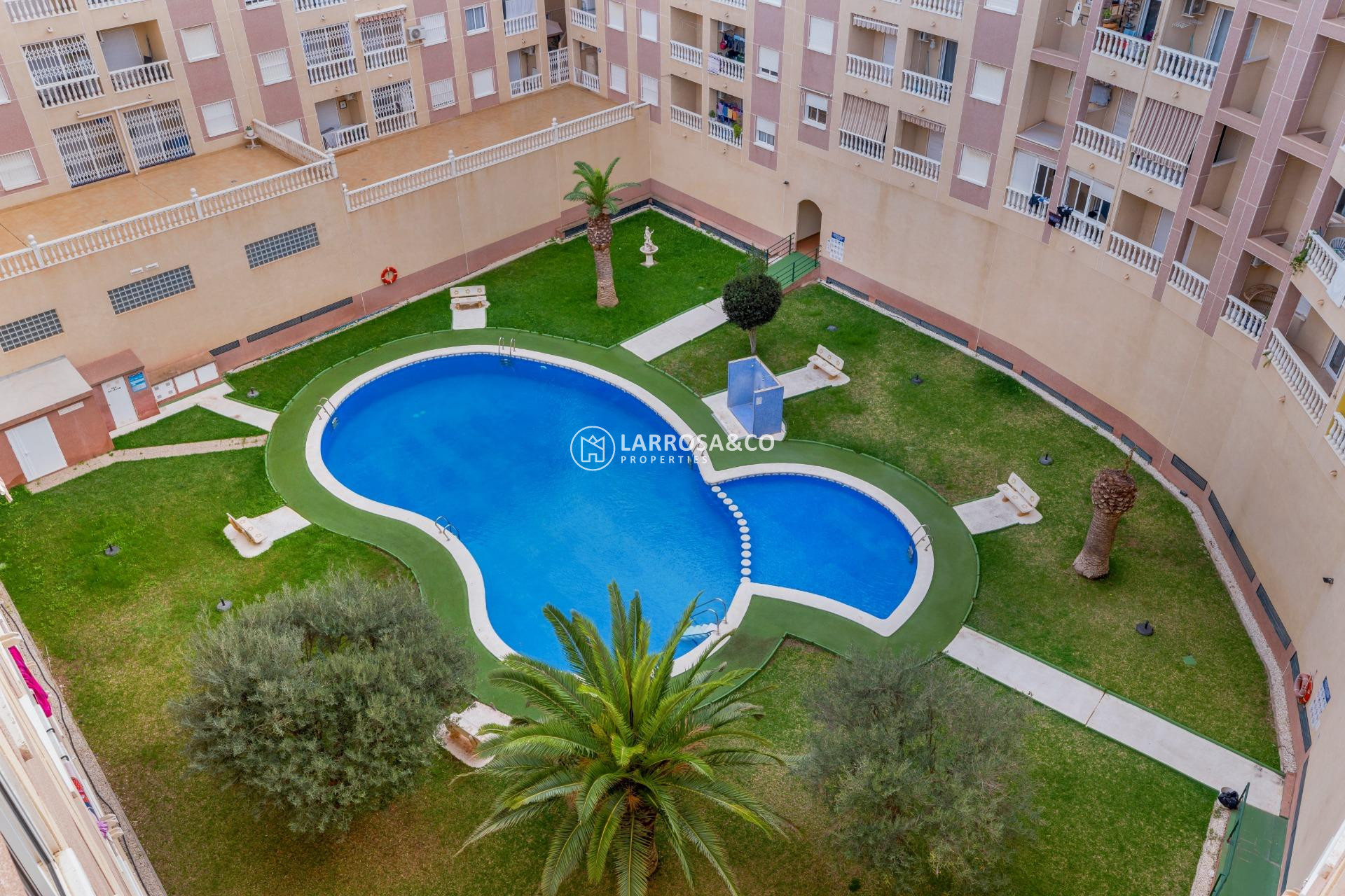 A Vendre - Apartment - Torrevieja - Parque las naciones