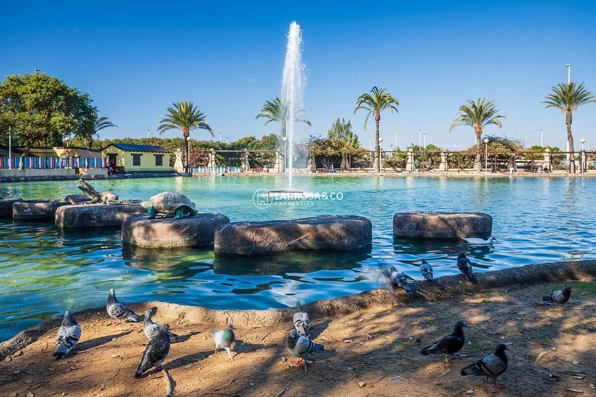 A Vendre - Apartment - Torrevieja - Parque las naciones