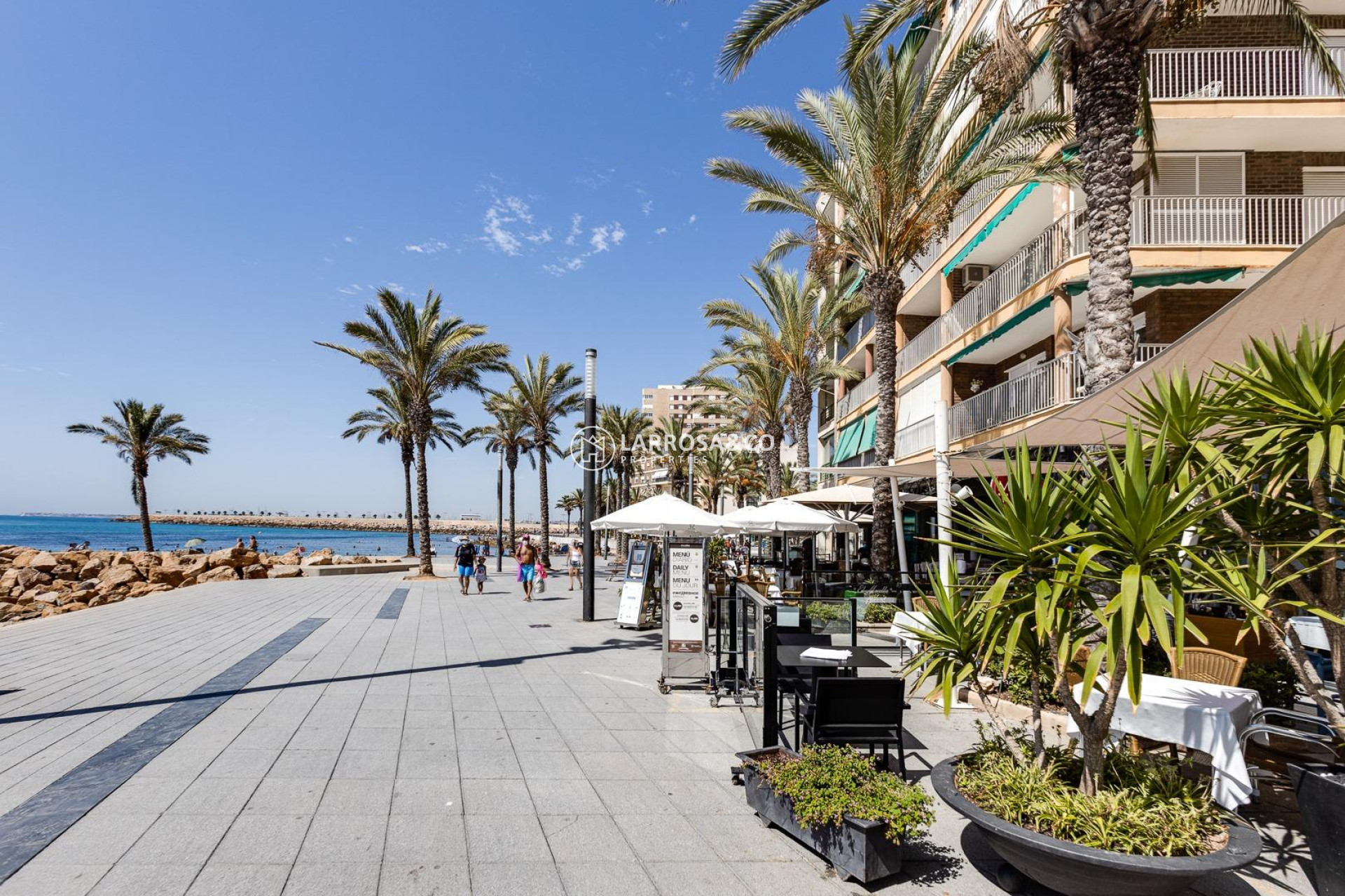 A Vendre - Apartment - Torrevieja - Paseo maritimo