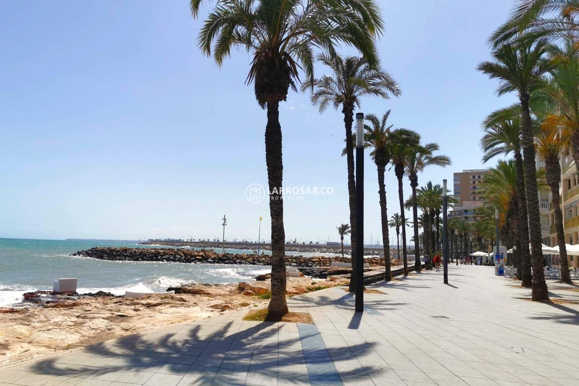 A Vendre - Apartment - Torrevieja - Paseo maritimo