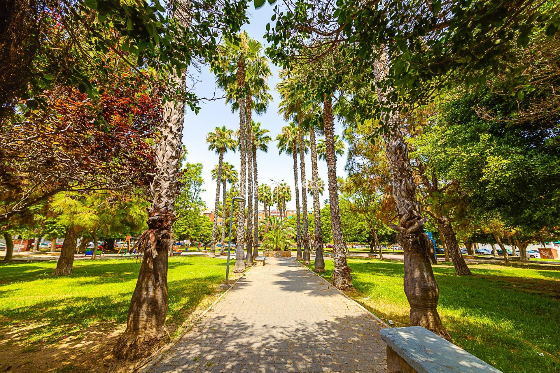 A Vendre - Apartment - Torrevieja - Playa de los Naufragos