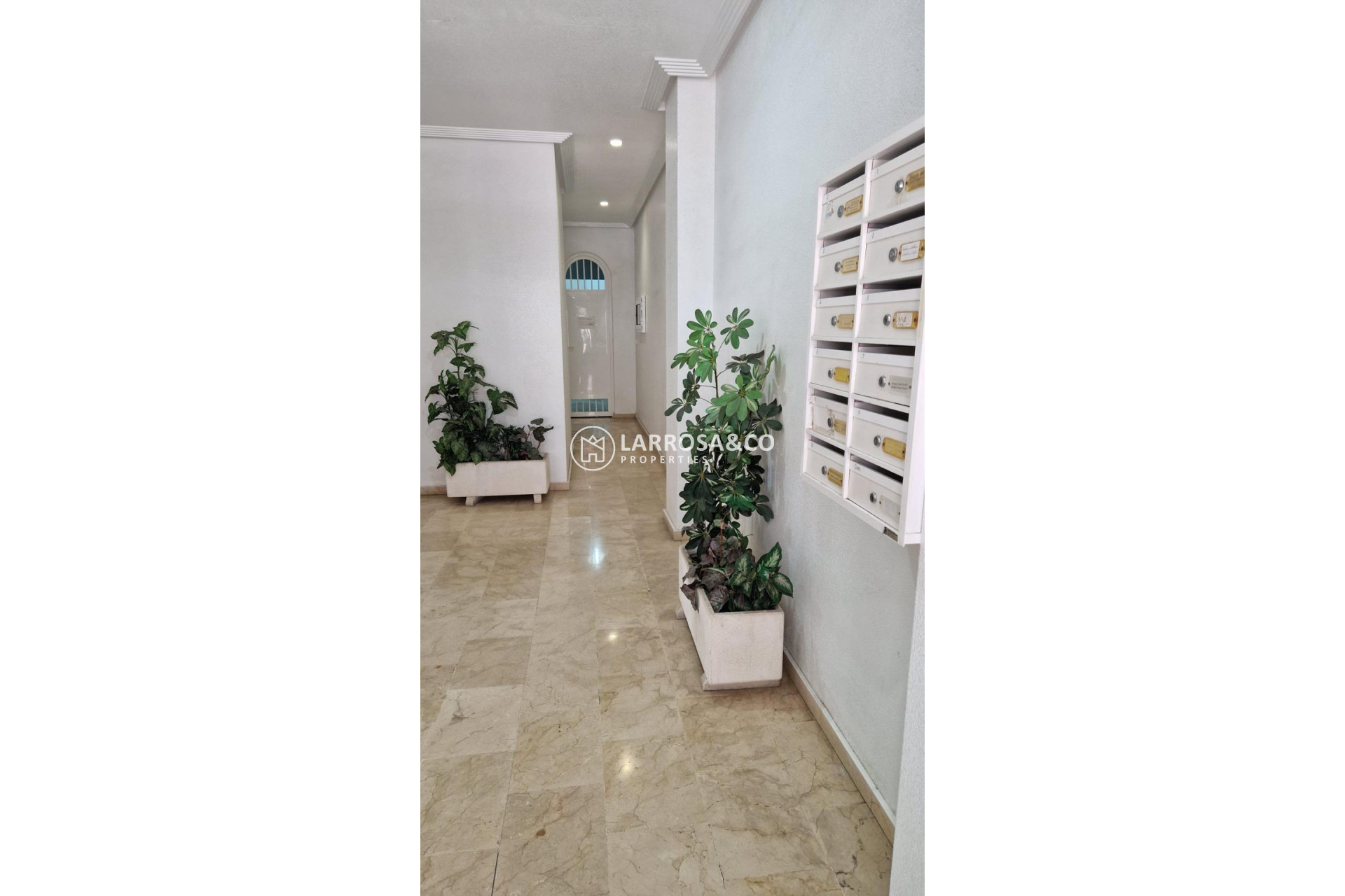 A Vendre - Apartment - Torrevieja - Playa del cura